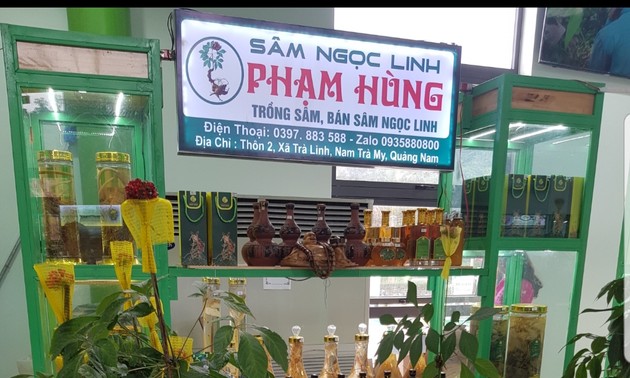 Quang Nam province finds ways to promote Ngoc Linh ginseng internationally