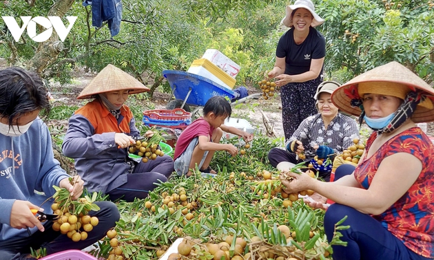 Ba Ria-Vung Tau upholds high-tech agriculture sustainably 