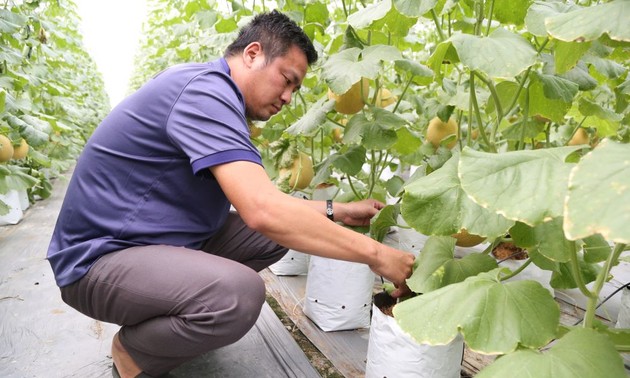Hai Duong applies high-tech to agricultural production