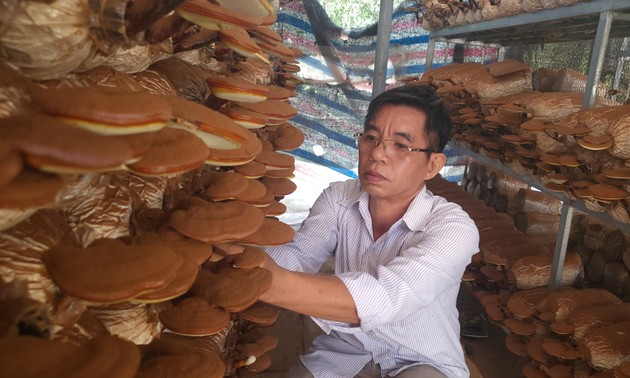 Binh Duong helps farmers apply technology to production
