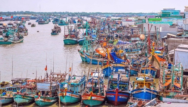 Vietnam shows resolve to combat IUU fishing 