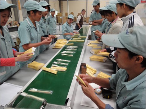 越南企业自我重组，渡过经济危机