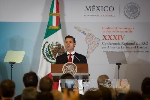 墨西哥选举竞选活动正式启动