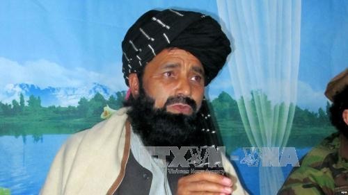 塔利班组织高级指挥官在阿富汗被击杀