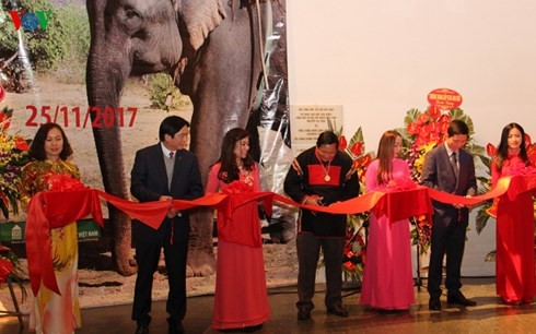 Vernissage de l’exposition sur les éléphants dans le Tây Nguyên