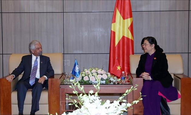 Un coordinateur résident de l’ONU au Vietnam reçu par Tong Thi Phong