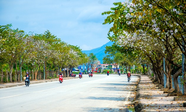 La province de Diên Biên est prête pour la fête des fleurs de bauhinie