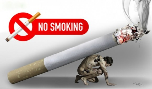 L’OMS attire l’attention sur les décès imputables à des maladies pulmonaires liées au tabac