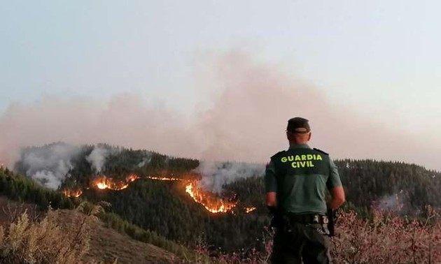 Une partie de l’Europe touchée par des incendies de forêts