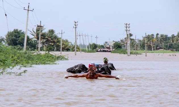 Mousson en Inde: un million de déplacés, 184 morts dans des inondations