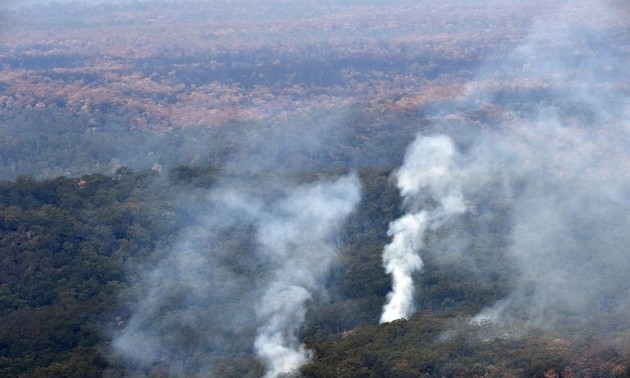 Feux de forêt : une nouvelle vague de chaleur s’abat sur l’Australie