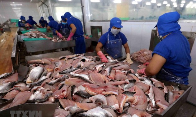 La taxe anti-dumping imposée au panga vietnamien est de 0,15 USD par kilo
