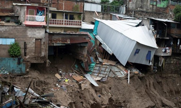 La tempête tropicale Amanda frappe le Salvador et le Guatemala: 14 morts