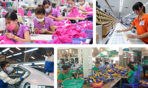 L’EVFTA est un accord de première importance pour les entreprises vietnamiennes. 