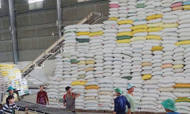 Vietnam : les exportations de riz progressent