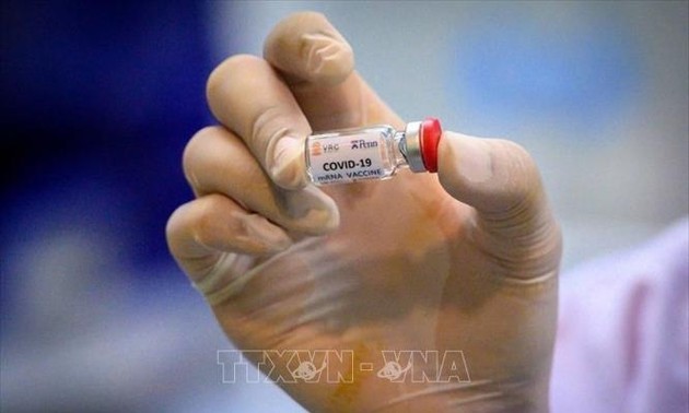 Vaccin anti-Covid-19: les essais précliniques de l’Université du Queensland montrent des résultats optimistes