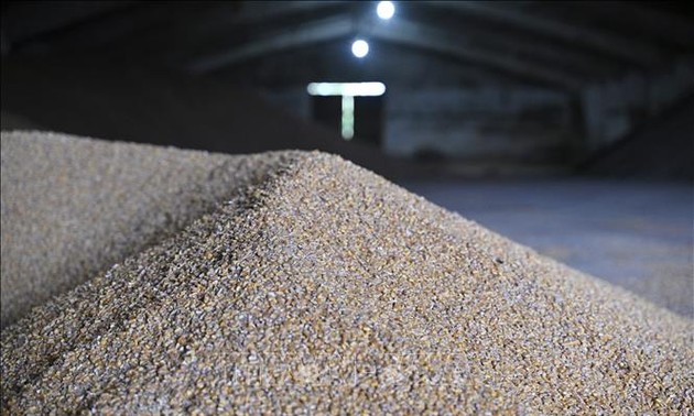 Ankara, Moscou et Kiev sont en pourparlers pour ouvrir un couloir pour les exportations de céréales ukrainiennes
