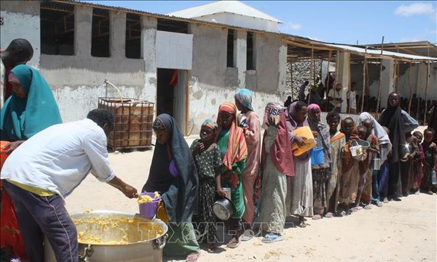 Une personne meurt de faim dans le monde toutes les quatre secondes, selon plus de 200 ONG