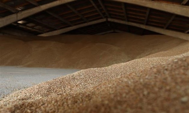 L'Ukraine lance un programme d'exportation de céréales vers des pays d'Afrique