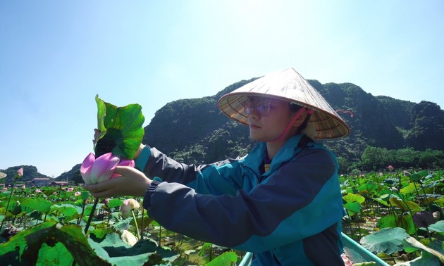 Du khách thích thú với trà, ẩm thực từ sen tươi giữa mùa Đông ở Ninh Bình