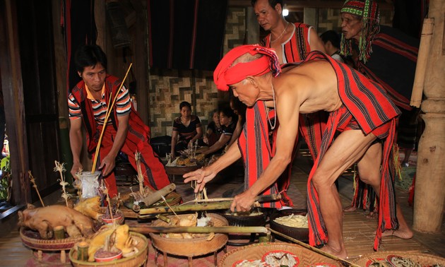 稲の神祭り 国の文化財に認定される