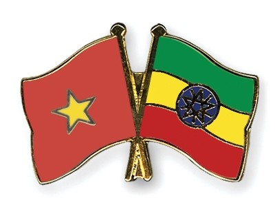 非洲国家希望发展与越南的合作关系