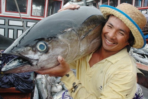 中东是越南出口金枪鱼的重要市场