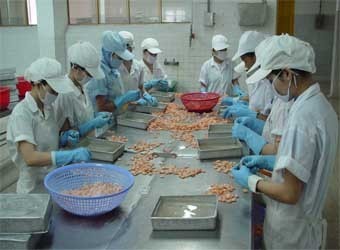 虾类仍是越南拳头出口水产品