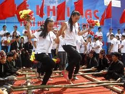 海外越南青年学生访问太平省