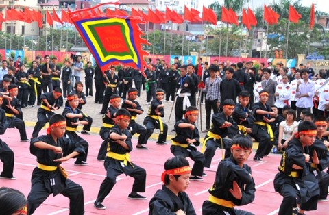 第四次国际越武道节在平定省开幕