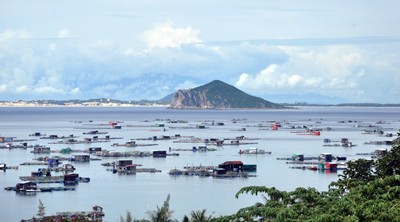越南政府门户网站就有效开发富安省水产资源举行在线交流