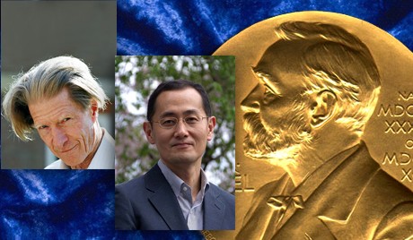 英国与日本两位科学家分获2012年诺贝尔医学奖