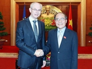 越南一直把欧盟视为对外政策的首要优先伙伴