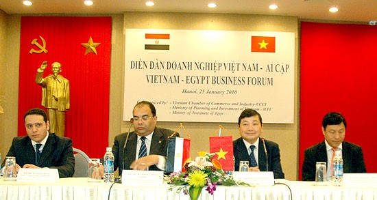 越南和埃及就加强贸易合作举行视频对话会