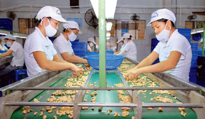 2013年1月，越南农林水产出口21.7亿美元
