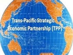 越南参加《泛太平洋战略经济伙伴关系协定》谈判