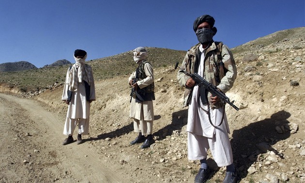 阿富汗计划清除逾万公顷罂粟田