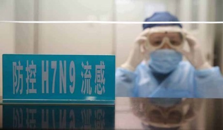 中国再发现1例人感染H7N9禽流感病例