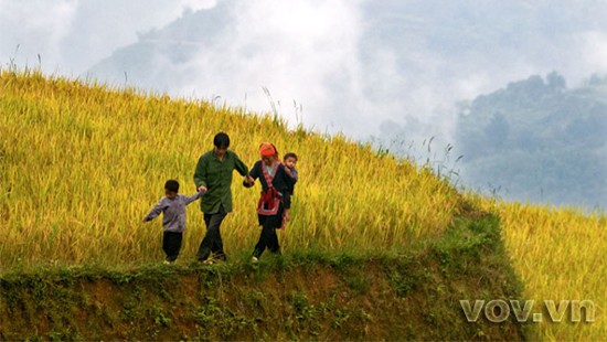 越南政府总理批准扶助贫困少数民族同胞政策