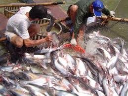 美国众议院反对美国无鳞鱼进口监督计划