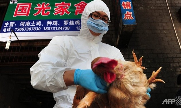 中国新增一例H7N9禽流感确诊病例