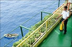 长沙岛县开展的农业模式