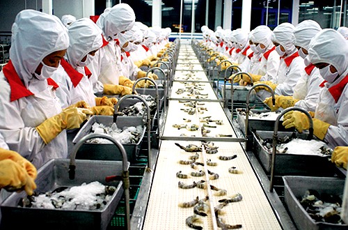虾产品出口恢复增长