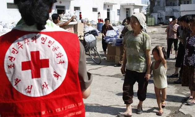韩国民间团体向朝鲜提供人道主义援助