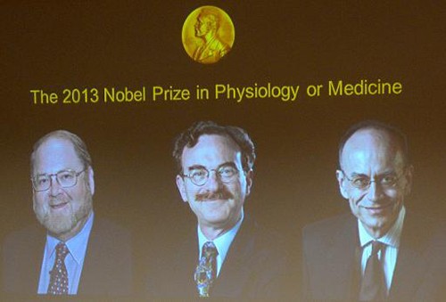 2013年诺贝尔医学奖授予美国和德国科学家