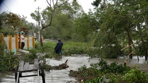  台风“百合”造成5人死亡和失踪27人受伤