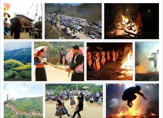 越南全国各地纷纷举行活动庆祝越南文化遗产日