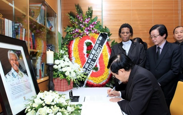 张晋创出席南非前总统曼德拉吊唁仪式