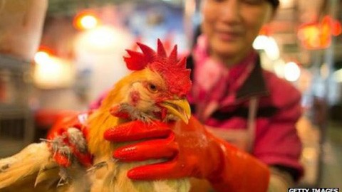 中国广东深圳活禽市场验出H7N9禽流感病毒