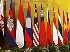 2013年越南外交：务实有效